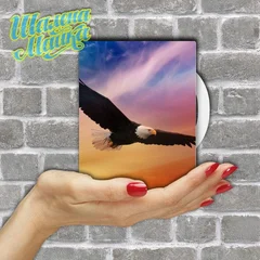  Animals 070 Орел 07